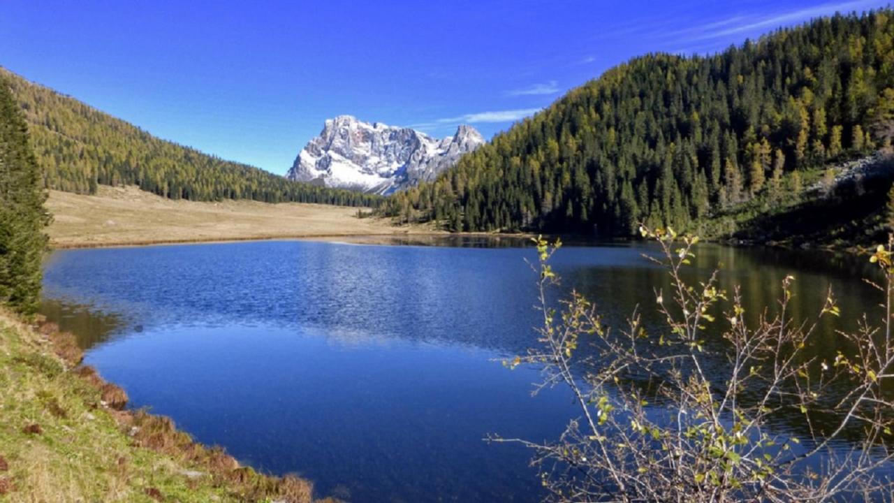 Appartamento Vanoi nel cuore verde del Trentino Canal San Bovo Esterno foto