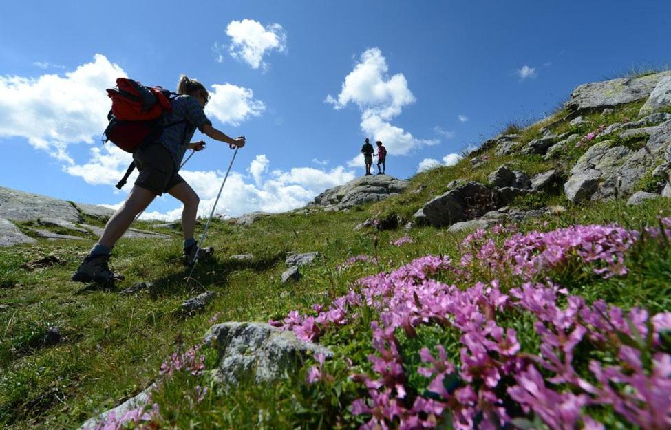 Appartamento Vanoi nel cuore verde del Trentino Canal San Bovo Esterno foto